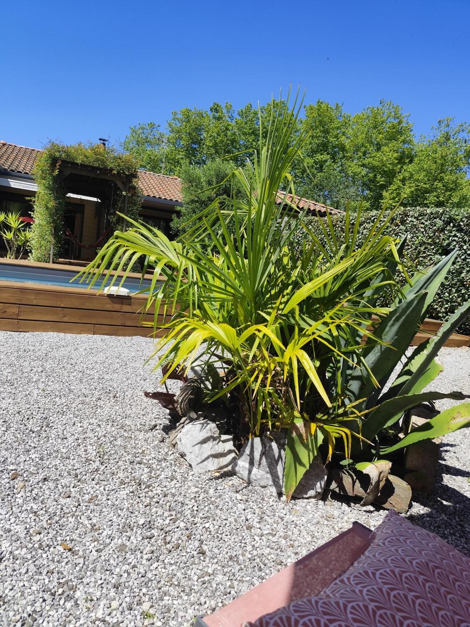Maison Balaguera Saint-Jean-de-Marsacq エクステリア 写真